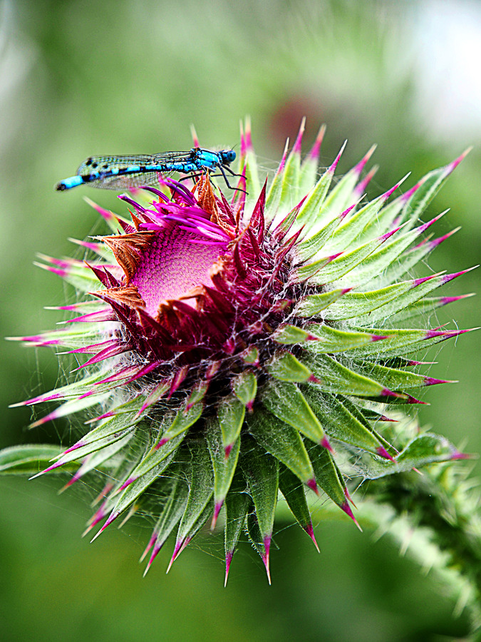 3rd. - Geoff Hildred